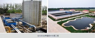 養(yǎng)殖廢水處理